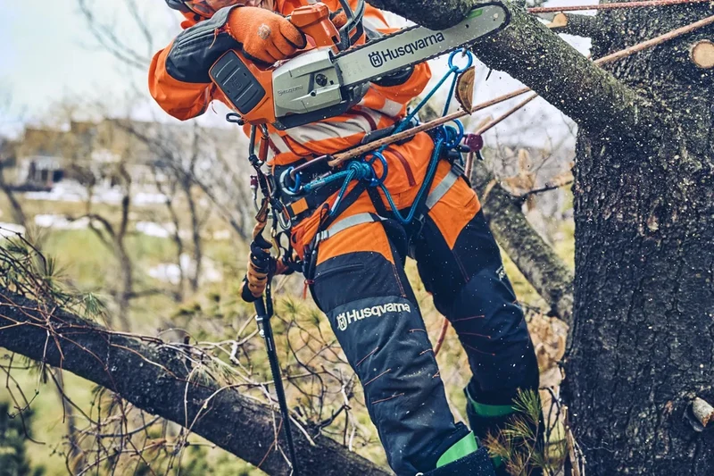 Kettensäge T542i XP® (14")