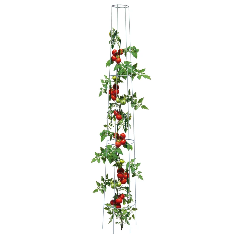 bellissa Tomaten-Ranksäule rund 175 cm