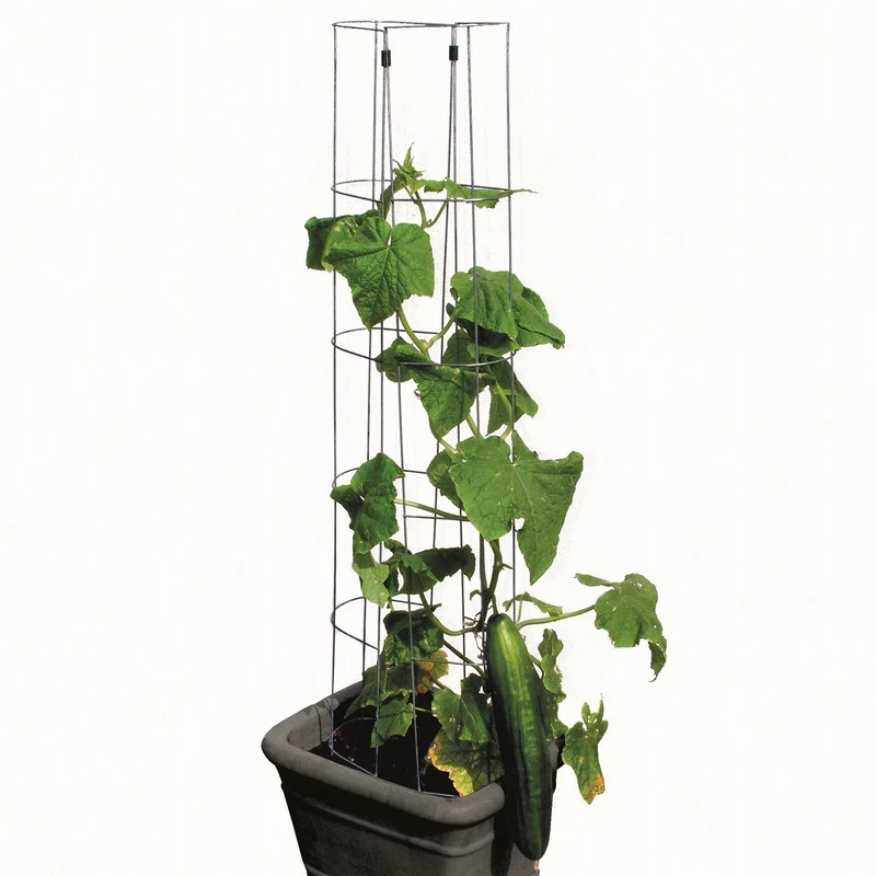 bellissa Gurkenturm 120cm