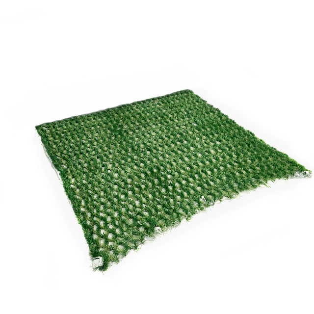 AM Hybridrasen