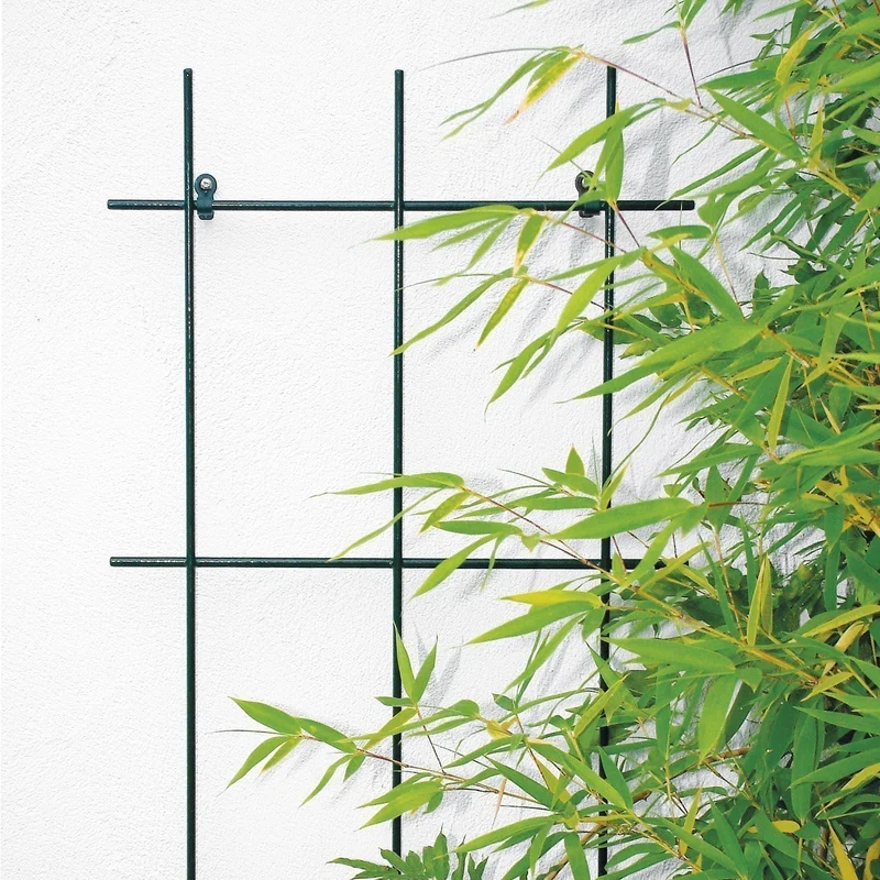 bellissa Extra starkes Spalier 3-strebig S 150 x 45 cm
