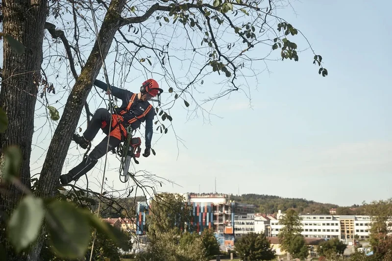 Kettensäge T535i XP® (12")
