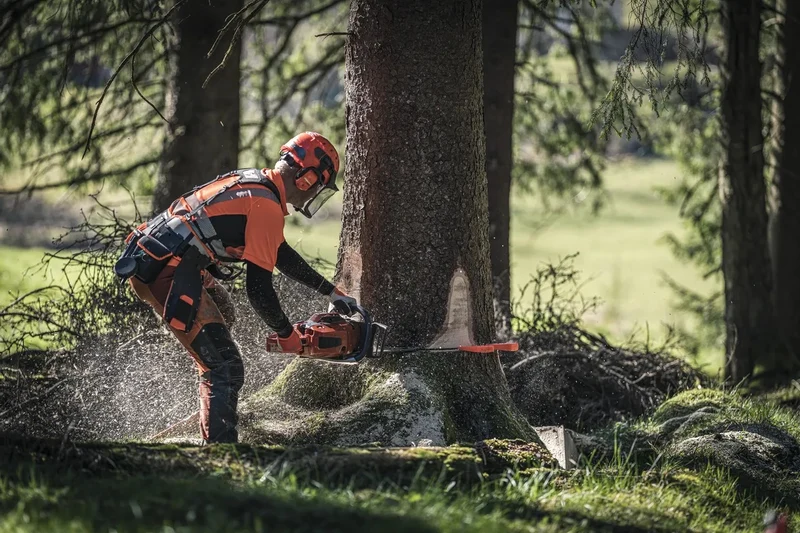 Kettensäge 572 XP® (18")