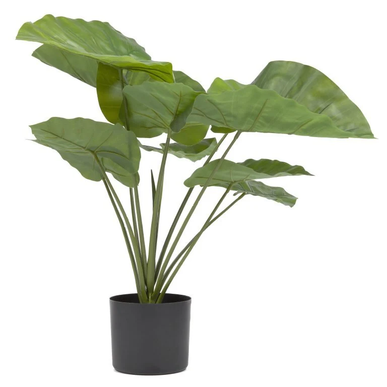 B-Ware Kave Home Kunstpflanze Dekopflanze Alocasia Kunststofftopf SIEHE TEXT/FOTO