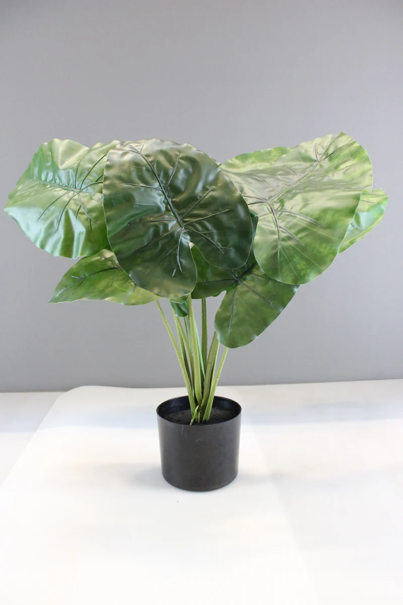 B-Ware Kave Home Kunstpflanze Dekopflanze Alocasia Kunststofftopf SIEHE TEXT/FOTO