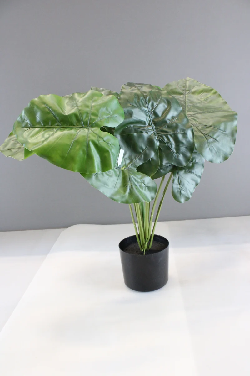 B-Ware Kave Home Kunstpflanze Dekopflanze Alocasia Kunststofftopf SIEHE TEXT/FOTO