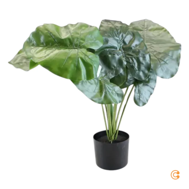 B-Ware Kave Home Kunstpflanze Dekopflanze Alocasia Kunststofftopf SIEHE TEXT/FOTO