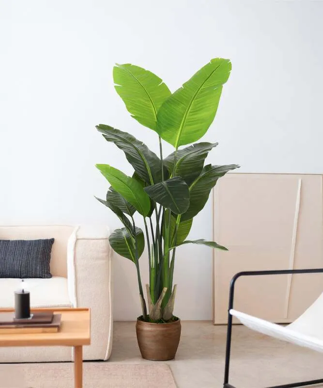 B-Ware Künstliche Paradiesvogelblume Strelitzie Kunstpflanze Pflegeleicht 120cm