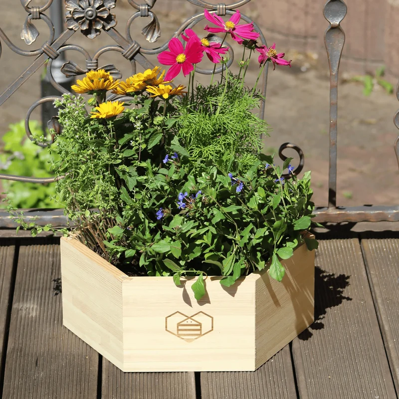 B-Ware Bieneninsel Pflanzkasten Blumenkasten Wildbienen Set Begleitbuch BIO Samen Holz