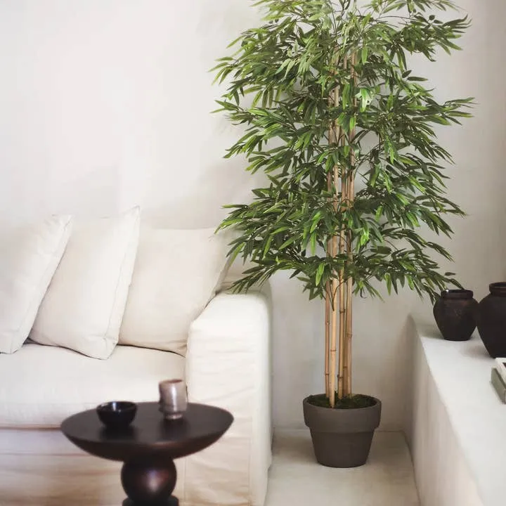 B-Ware Maia Shop Künstlicher Bambus Kunstpflanze Bambusbaum 180 cm Dekoration Pflanze