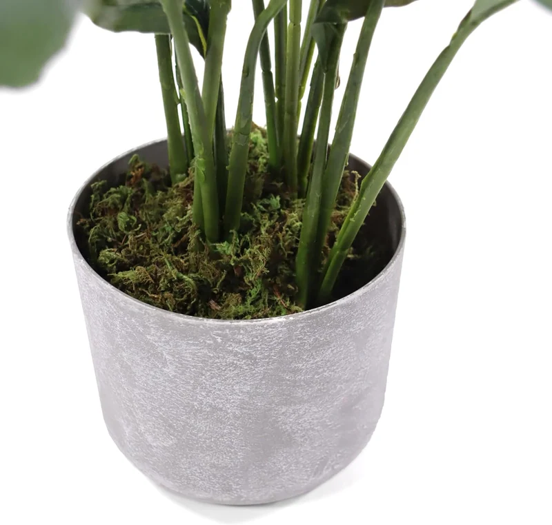 B-Ware hjh OFFICE Kunstpflanze Nachbildung Spathiphyllum 1 grün weiß Kunststoff 60x55cm