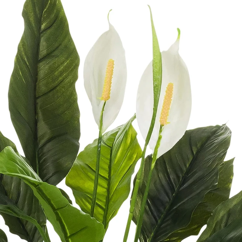 B-Ware hjh OFFICE Kunstpflanze Nachbildung Spathiphyllum 1 grün weiß Kunststoff 60x55cm