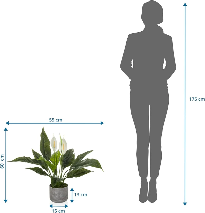B-Ware hjh OFFICE Kunstpflanze Nachbildung Spathiphyllum 1 grün weiß Kunststoff 60x55cm
