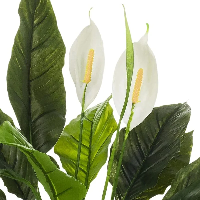 B-Ware hjh OFFICE Kunstpflanze Nachbildung Spathiphyllum 1 grün weiß Kunststoff 60x55cm