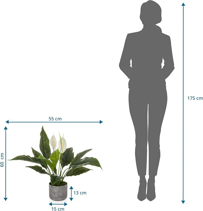 B-Ware hjh OFFICE Kunstpflanze Nachbildung Spathiphyllum 1 grün weiß Kunststoff 60x55cm
