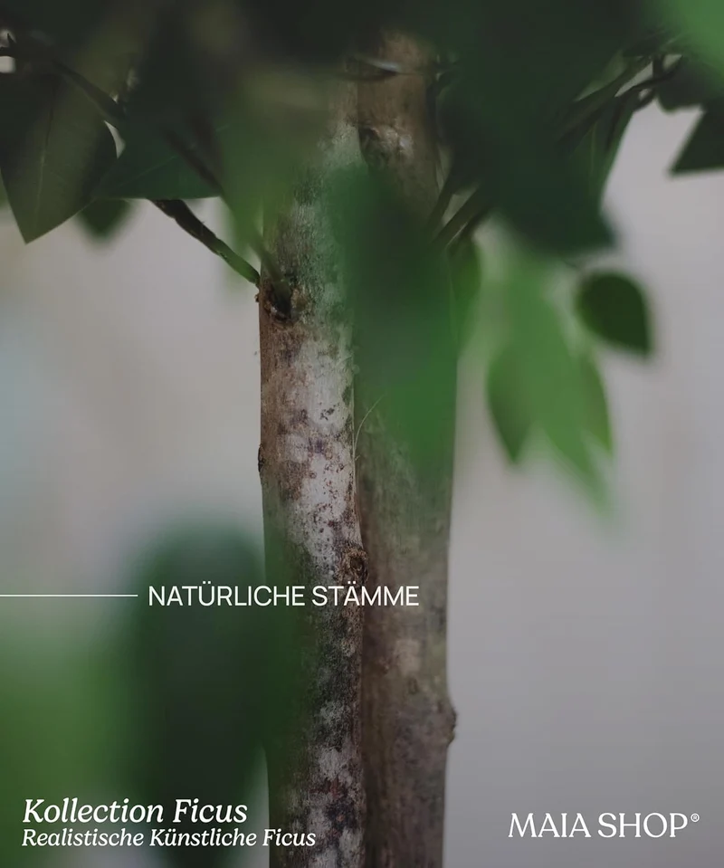 B-Ware Maia Shop Ficus Kunstpflanzen Künstlicher Baum Kunstpflanze mit Topf 190x100 cm