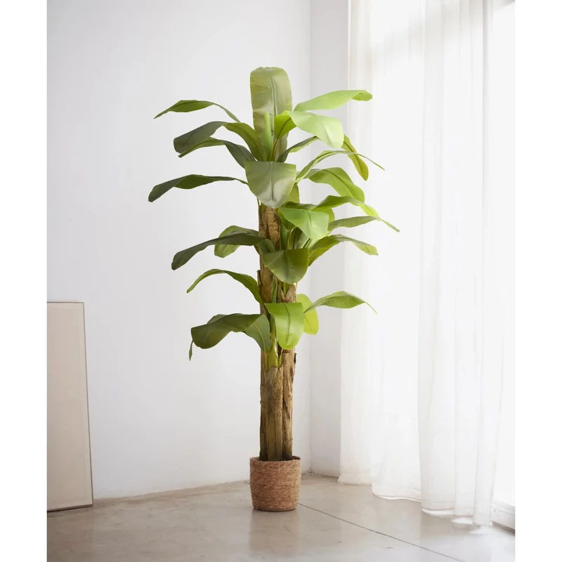 B-Ware Maia Shop Bananenbaum Kunstpflanze Dekobaum Kunstbanane tropische Dekoration