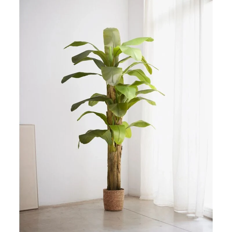 B-Ware Maia Shop Bananenbaum Kunstpflanze Dekobaum Kunstbanane tropische Dekoration