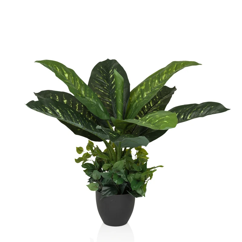 B-Ware hjh OFFICE Kunstpflanze Kunstbaum DIEFFENBACHIA Zimmerpflanze 80 cm
