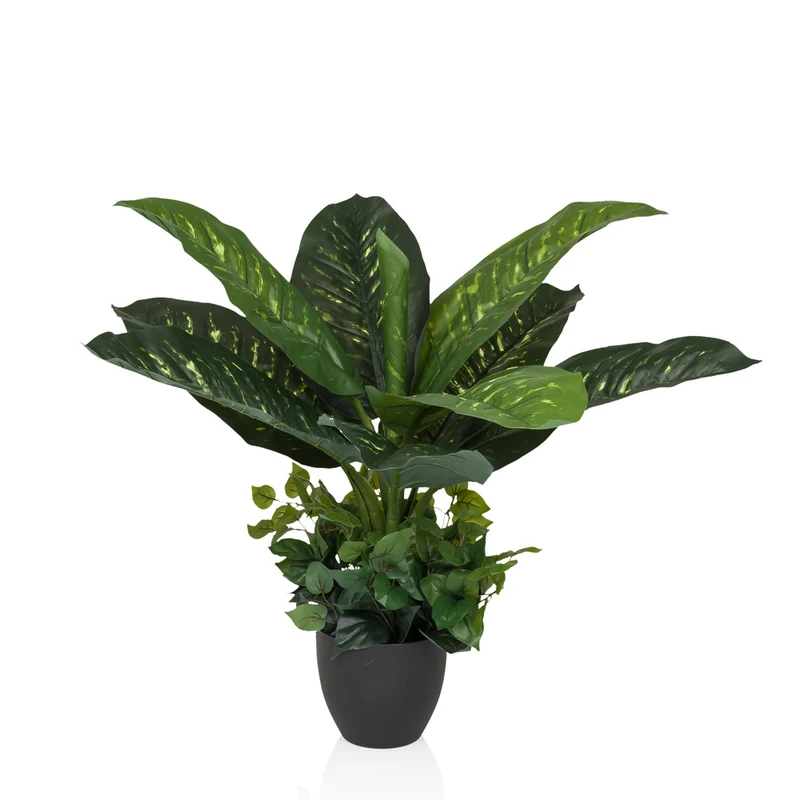 B-Ware hjh OFFICE Kunstpflanze Kunstbaum DIEFFENBACHIA Zimmerpflanze 80 cm