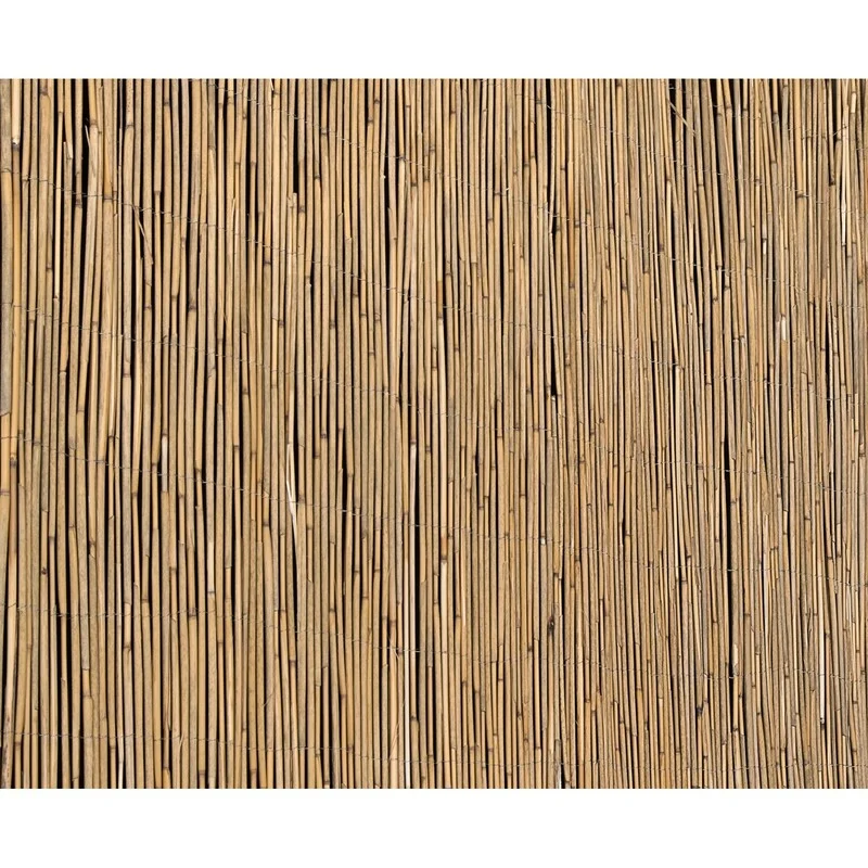 B-Ware Floraworld Schilfrohrmatte Sichtschutzmatte 90x600cm Balkon Garten