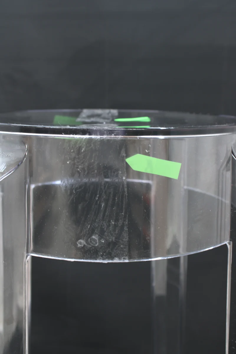 C-Ware Kartell Charles Sitz Hocker Sitzhocker Barhocker Sitz transparent H 75 x Ø 29cm